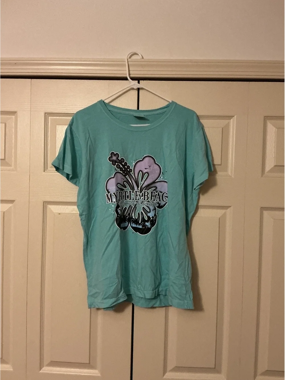 Comfort Colors Women's XL Light Blue Graphic T-Shirt